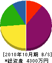 大井組 貸借対照表 2010年10月期