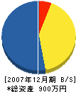 太樹開発 貸借対照表 2007年12月期