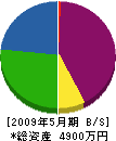 前川製作所 貸借対照表 2009年5月期