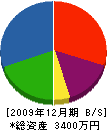 芝勝商会 貸借対照表 2009年12月期