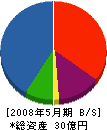 中山商事 貸借対照表 2008年5月期