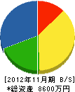 大塚工務店 貸借対照表 2012年11月期
