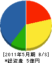 カワサキコーポレーション 貸借対照表 2011年5月期