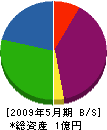 洞井電気工事 貸借対照表 2009年5月期