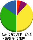 松本電気工業 貸借対照表 2010年7月期
