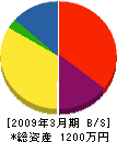 亀井電機水道 貸借対照表 2009年3月期