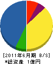 大槻興業 貸借対照表 2011年6月期