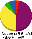池田住宅建設 貸借対照表 2009年12月期