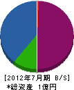 丸誠 貸借対照表 2012年7月期