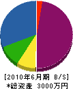 阿賀電設 貸借対照表 2010年6月期