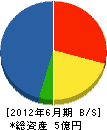 本田建設 貸借対照表 2012年6月期