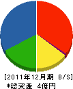 寺島工務店 貸借対照表 2011年12月期