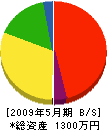 仁木建設 貸借対照表 2009年5月期