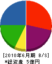 田野工務店 貸借対照表 2010年6月期