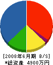 日本緑地 貸借対照表 2008年6月期