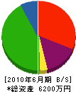 沢井工業 貸借対照表 2010年6月期