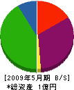 中島組 貸借対照表 2009年5月期
