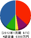 長谷川電機センター 貸借対照表 2012年1月期