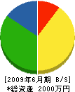 大崎産業 貸借対照表 2009年6月期