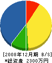 竹之下電工 貸借対照表 2008年12月期