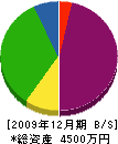 亀岡塗装 貸借対照表 2009年12月期
