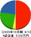 サントマリシステム 貸借対照表 2009年10月期
