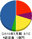 大島電機 貸借対照表 2010年5月期