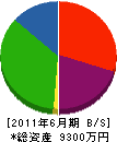 岩村電気水道 貸借対照表 2011年6月期