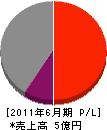 丸井鉄工所 損益計算書 2011年6月期