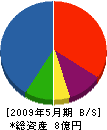 蒼和 貸借対照表 2009年5月期