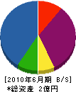 桝井工業 貸借対照表 2010年6月期