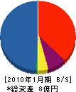 新東京エンジニアリング 貸借対照表 2010年1月期