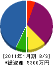 稲田工業 貸借対照表 2011年1月期
