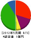 大塚商事 貸借対照表 2012年5月期
