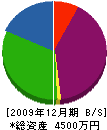そうび 貸借対照表 2009年12月期 そうび 貸借対照表 2009年12月期