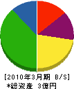 神岡衛生社 貸借対照表 2010年3月期