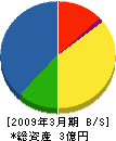 ワクダ総合企画 貸借対照表 2009年3月期