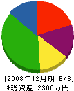 シンカイ美装 貸借対照表 2008年12月期