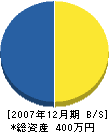 田中庭園 貸借対照表 2007年12月期