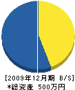 片江畳商店 貸借対照表 2009年12月期
