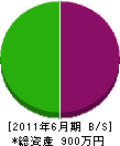 渋谷管工 貸借対照表 2011年6月期
