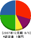 丸橋建設 貸借対照表 2007年12月期