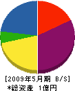 温泉総合サービス 貸借対照表 2009年5月期