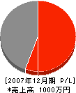 竹田組 損益計算書 2007年12月期