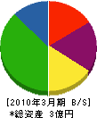 三立通信 貸借対照表 2010年3月期