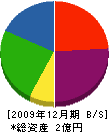 千葉技建 貸借対照表 2009年12月期