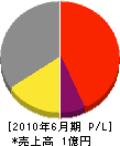 横澤開発工業 損益計算書 2010年6月期