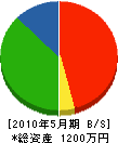 坂口園芸 貸借対照表 2010年5月期