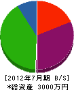 塩川開発 貸借対照表 2012年7月期