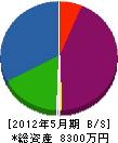 天野組 貸借対照表 2012年5月期